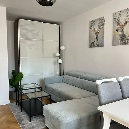 On Center Near To Zlote Tarasy With Perfect View *